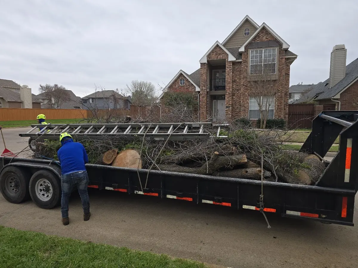 Expert Lot Clearing with proper safety equipment in Thompson